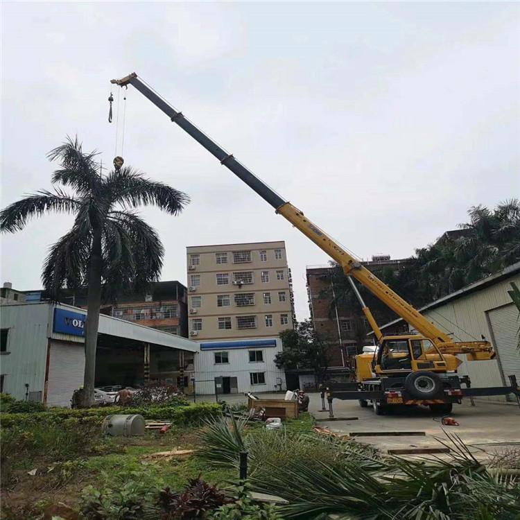 兴宁吊车吊大树几种方法